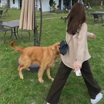金融恶魔 第一季